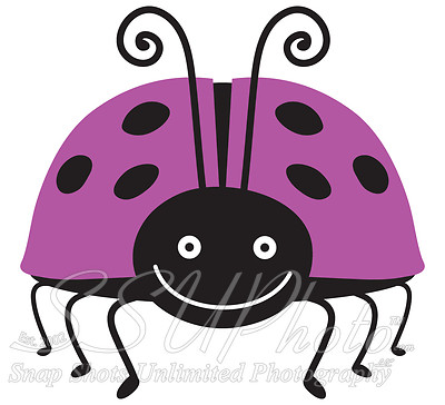 ladybug