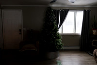 christmas 2025