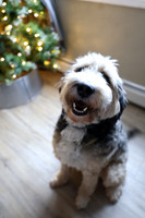 8O3A0018