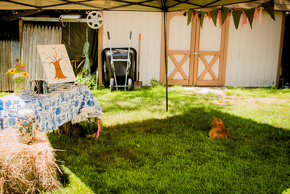 0029babyshower