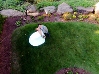 0375formals