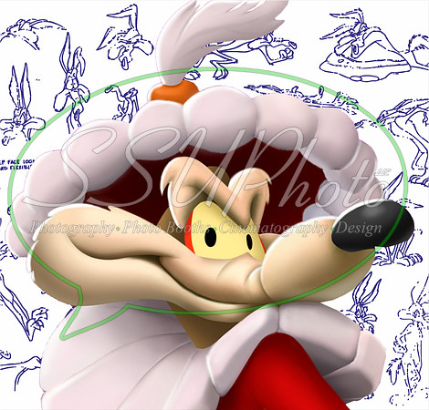 LoonyToons25