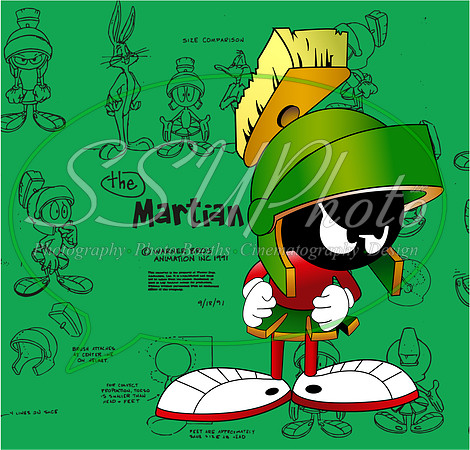 LoonyToons12