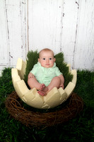 Falkoff Easter