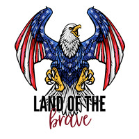 Aeagles5
