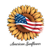 America11
