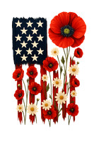 America19