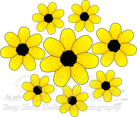valentine_yellow_flowers_flora_78-3333px