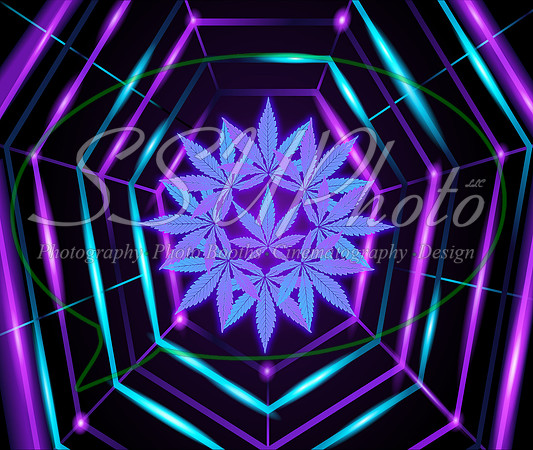 NeonCannabis4