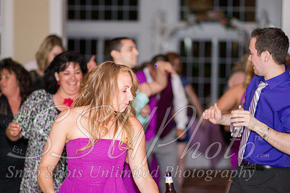 1493Reception