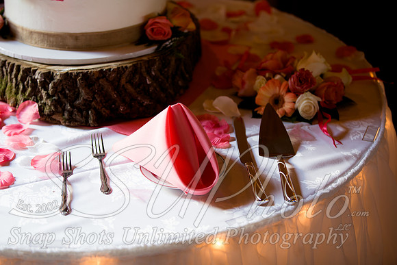 1553reception