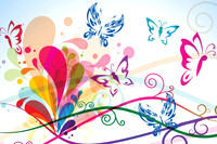 butterfly7