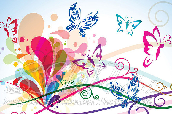 butterfly7