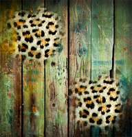Texturespatterns7