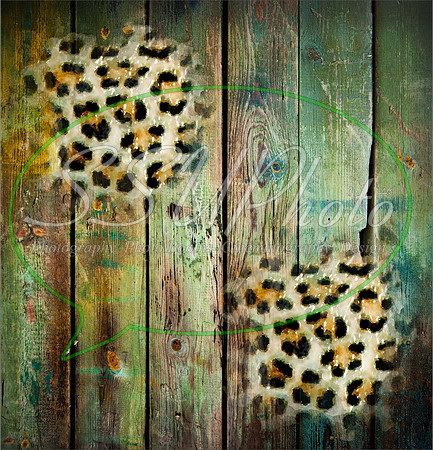 Texturespatterns7