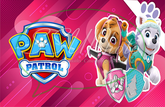 paw patrol pop up13