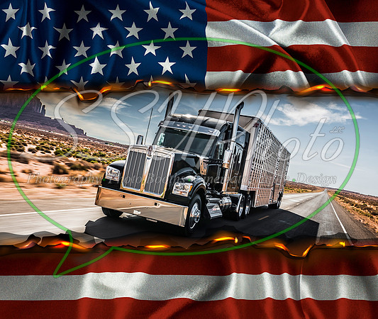 BigRigs21