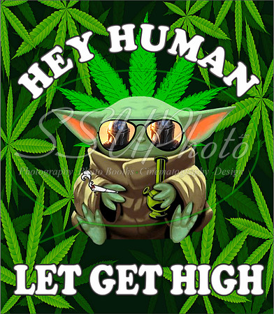 42034 2