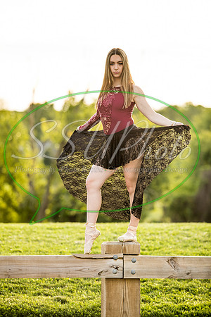 vivseniorphotos2020403