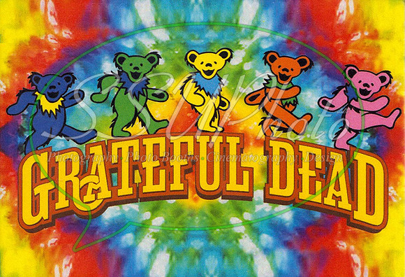 Greatfulldead1