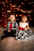 rosachristmas201500009