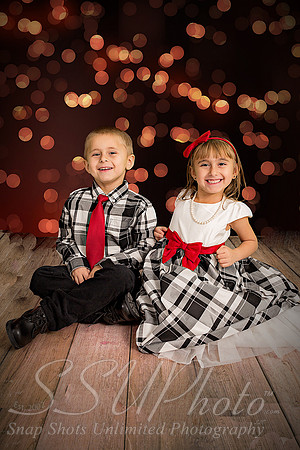 rosachristmas201500009