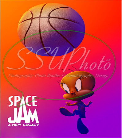 SpaceJammore11