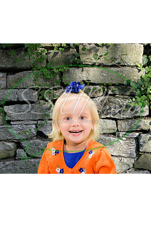 0073hailey2016brick