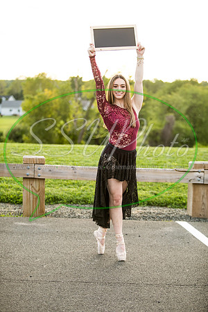 vivseniorphotos2020506