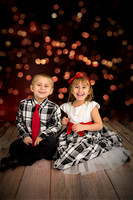 rosachristmas201500006