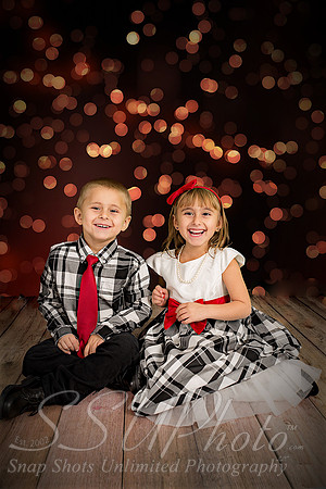 rosachristmas201500006