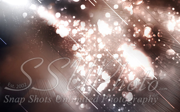 Bokeh01