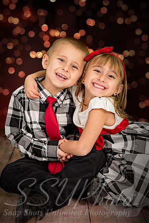 rosachristmas201500011