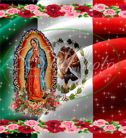 Nuestra Señora de Guadalupe 3