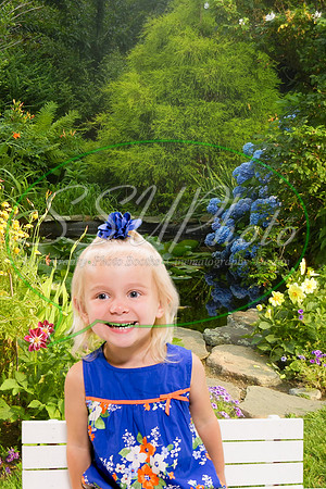0027hailey2016garden