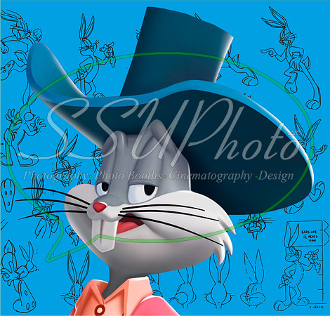 LoonyToons4