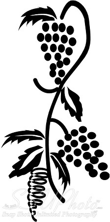 Grape Vine