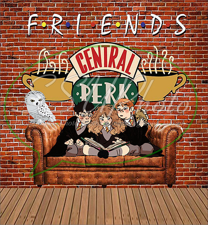 FunnyFriends13