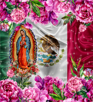 Nuestra Señora de Guadalupe 5