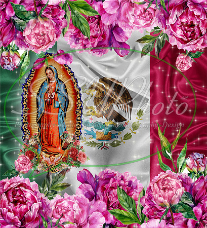 Nuestra Señora de Guadalupe 5