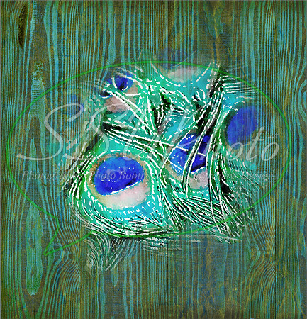 Texturespatterns11
