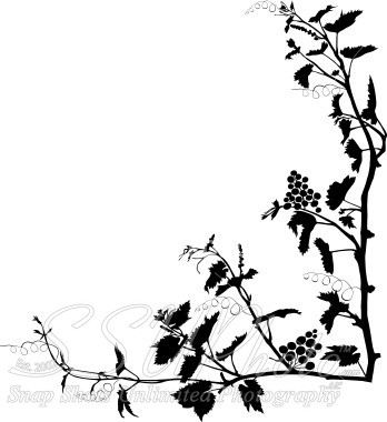 stock-illustration-6144194-grape-vines-frame