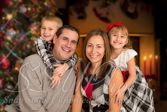 rosachristmas201500042