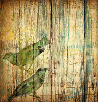 Texturespatterns5