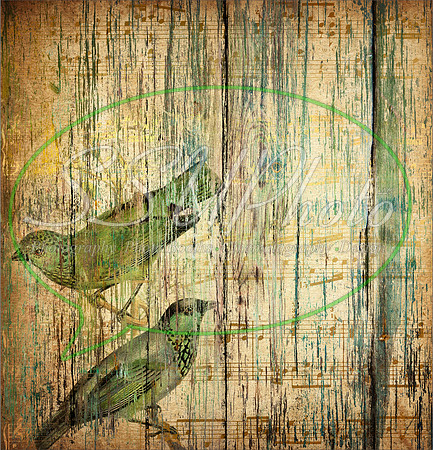 Texturespatterns5