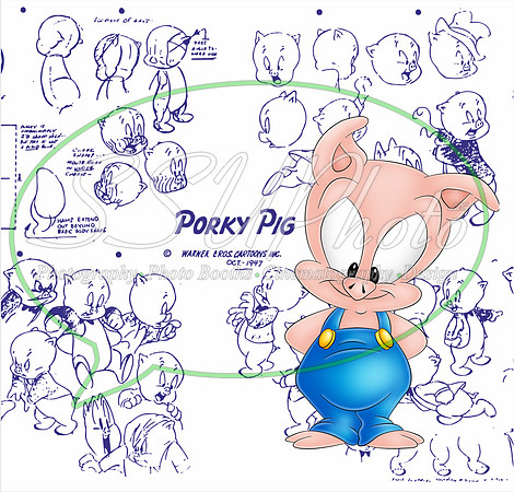LoonyToons9