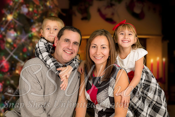 rosachristmas201500038