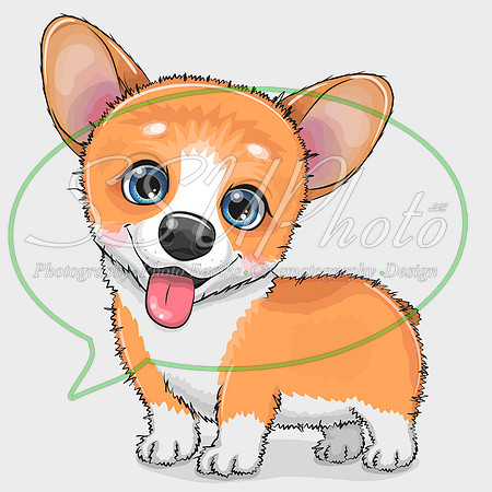 cute animals312