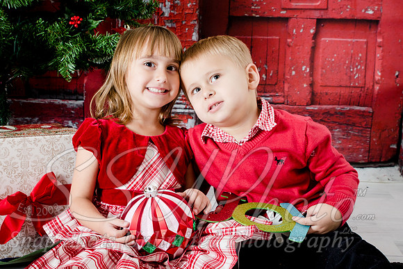0015holidayrubler