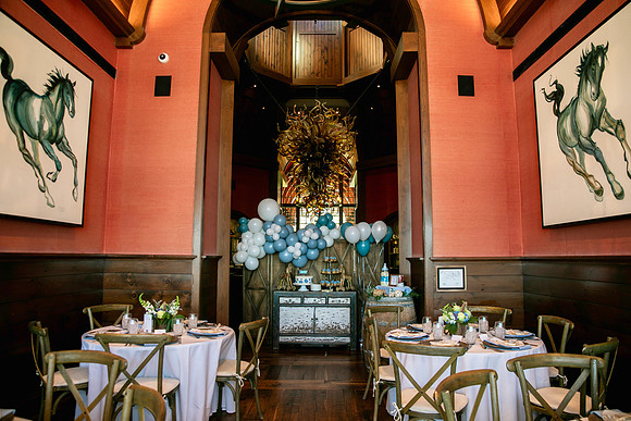 babyshower2024-18